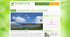 Desktop Screenshot of dzembritzki.de