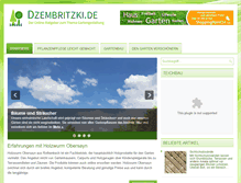 Tablet Screenshot of dzembritzki.de